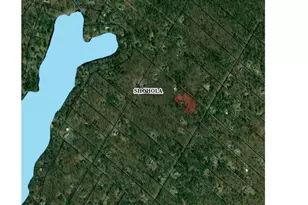 Neversink, Shohola, PA 18458 - Photo 1