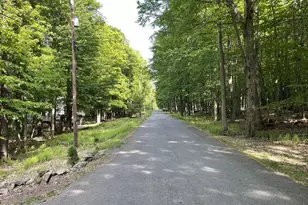 1042 Alder Dr, Newfoundland, PA 18445 - Photo 22