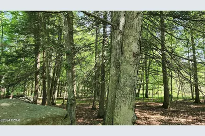 Lot 91 Pocono Mountain Lake Drive, Bushkill, PA 18324 - Photo 4
