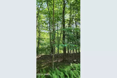 Lot 91 Pocono Mountain Lake Drive, Bushkill, PA 18324 - Photo 6