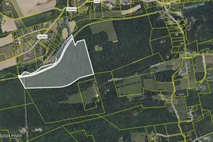 295 Railbed Trl, Kunkletown, PA 18058 - Photo 12