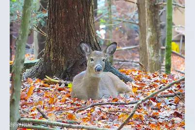 Lot 510 Panther Circle, Lake Ariel, PA 18436 - Photo 6