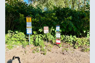 5585 River Road, Equinunk, PA 18417 - Photo 74