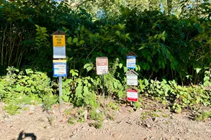 5585 River Rd, Equinunk, PA 18417 - Photo 74