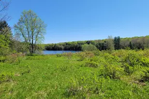 298 Maple Grove Rd, Starrucca, PA 18462 - Photo 12