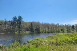 298 Maple Grove Rd, Starrucca, PA 18462 - Photo 14