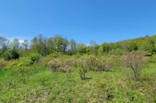 298 Maple Grove Rd, Starrucca, PA 18462 - Photo 16