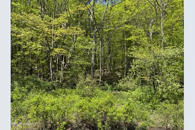 298 Maple Grove Road, Starrucca, PA 18462 - Photo 18