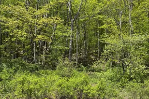 298 Maple Grove Rd, Starrucca, PA 18462 - Photo 18