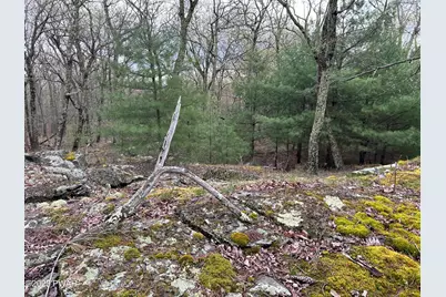 Lot 129 Pitch Pine Road, Dingmans Ferry, PA 18328 - Photo 6