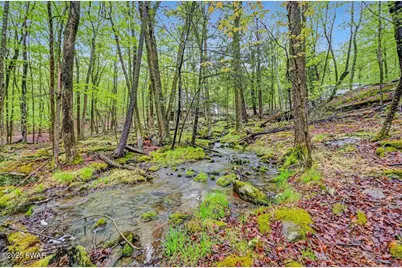 808 Pioneer Court, Lackawaxen, PA 18435 - Photo 6