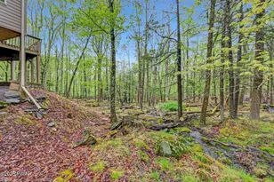 808 Pioneer Ct, Lackawaxen, PA 18435 - Photo 64