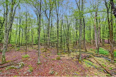 808 Pioneer Court, Lackawaxen, PA 18435 - Photo 68