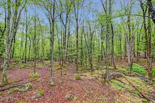 808 Pioneer Ct, Lackawaxen, PA 18435 - Photo 68