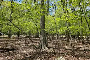 146 Cove Point Cir, Lakeville, PA 18438 - Photo 102