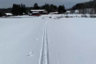 105 Grimms Rd, Honesdale, PA 18431 - Photo 110