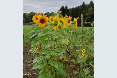 105 Grimms Road, Honesdale, PA 18431 - Photo 104