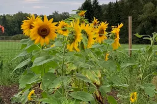 105 Grimms Rd, Honesdale, PA 18431 - Photo 104