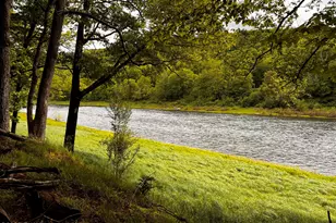 288 River Rd, Beach Lake, PA 18405 - Photo 20