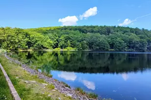 104 Radcliff Rd, Bushkill, PA 18324 - Photo 32