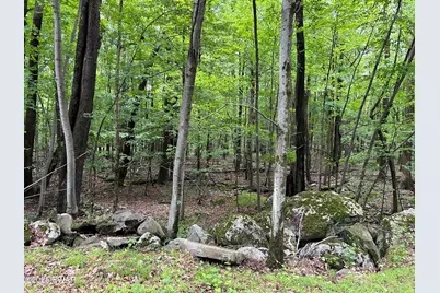 Lot 770 Fawn Road, Hawley, PA 18428 - Photo 6