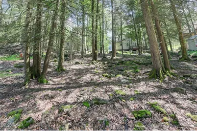 54 Wallenpaupack Drive, Lake Ariel, PA 18436 - Photo 8