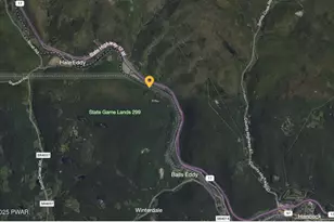 498 Penn-York Rd, Starlight, PA 18461 - Photo 46