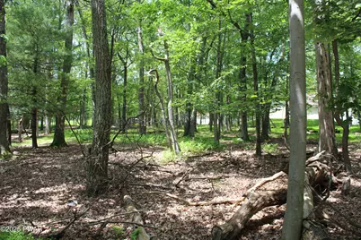 Lot 28 N Forrest Drive, Milford, PA 18337 - Photo 2