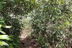 193 Old Rte 402, Dingmans Ferry, PA 18328 - Photo 36