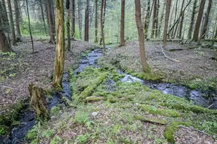 2051 Belmont Turnpike, Union Dale, PA 18470 - Photo 38