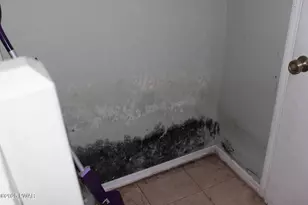 1379 Woodview Terrace, Lake Ariel, PA 18436 - Photo 50