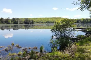 178 Old Rt 402, Blooming Grove, PA 18428 - Photo 12