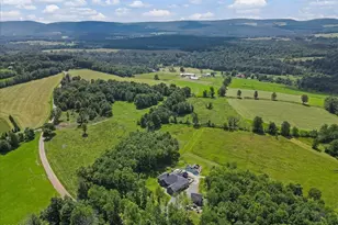 259 Ayoub Rd, Pleasant Mount, PA 18453 - Photo 144