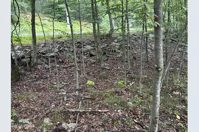 Lot 785 Jack Pine Drive, Dingmans Ferry, PA 18328 - Photo 8
