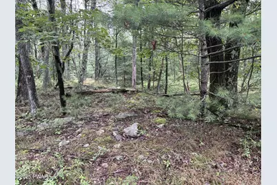 Lot 785 Jack Pine Drive, Dingmans Ferry, PA 18328 - Photo 20