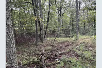 Lot 785 Jack Pine Drive, Dingmans Ferry, PA 18328 - Photo 10