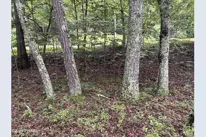 Lot 785 Jack Pine Drive, Dingmans Ferry, PA 18328 - Photo 6