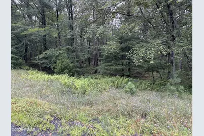 Lot 785 Jack Pine Drive, Dingmans Ferry, PA 18328 - Photo 22