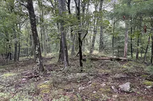 Lot 785 Jack Pine Dr, Dingmans Ferry, PA 18328 - Photo 1