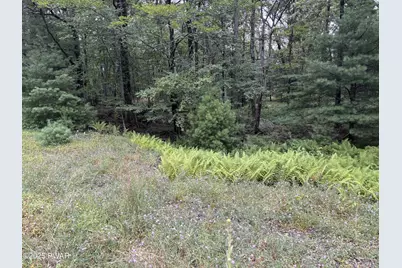 Lot 785 Jack Pine Drive, Dingmans Ferry, PA 18328 - Photo 24