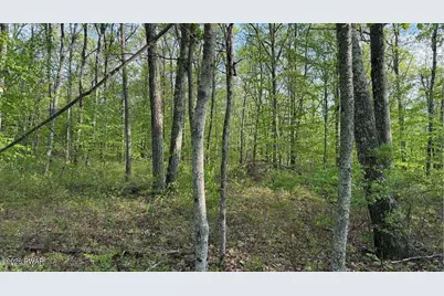 Lot 151 Wedgewood Dr, Hawley, PA 18428 - Photo 6