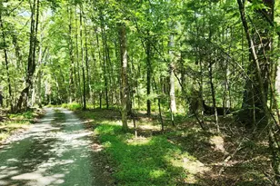 Lot 46 - Creek Ln, Dingmans Ferry, PA 18328 - Photo 1