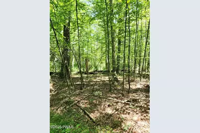 Lot 46 - Creek Lane, Dingmans Ferry, PA 18328 - Photo 4
