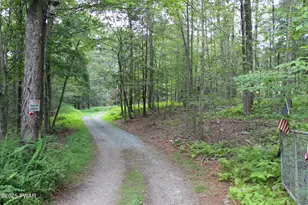 145 Daffodil Dr, Newfoundland, PA 18445 - Photo 58