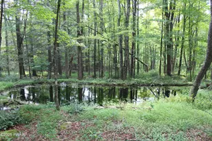 145 Daffodil Dr, Newfoundland, PA 18445 - Photo 60