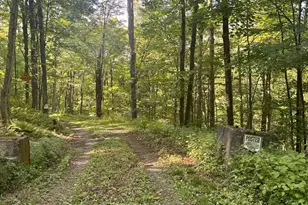 4382 River Rd, Equinunk, PA 18417 - Photo 40