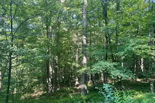 4382 River Rd, Equinunk, PA 18417 - Photo 44