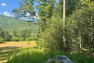 4382 River Rd, Equinunk, PA 18417 - Photo 42