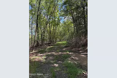 Wallenpaupack Drive, Greentown, PA 18426 - Photo 12