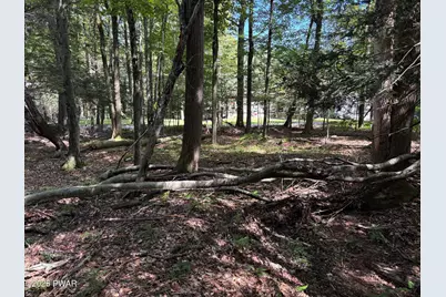 Wallenpaupack Drive, Greentown, PA 18426 - Photo 4